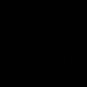 Meet your Posher, Noemi